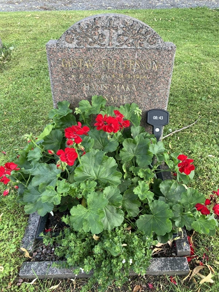 Grave number: 1 08    43