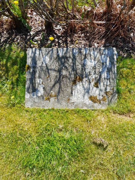 Hautatunnus: 60 C 17