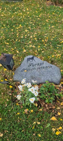 Grave number: M 13   30