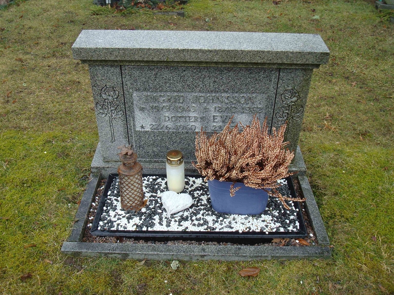 Grave number: BR D   313