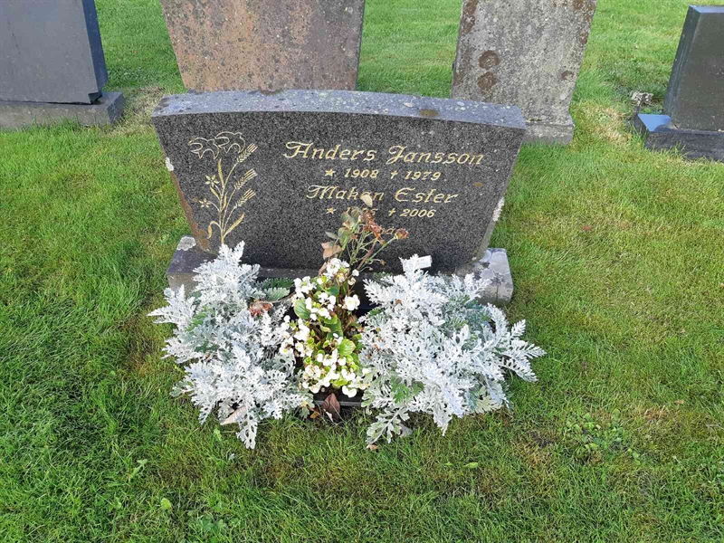 Grave number: Fr 8   540-541