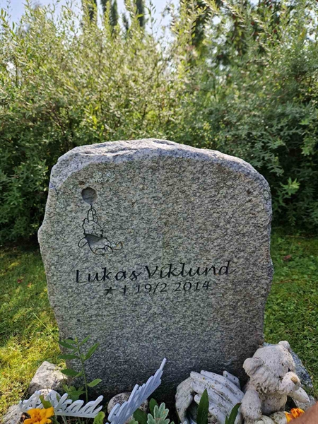 Hautatunnus: 452 24 817