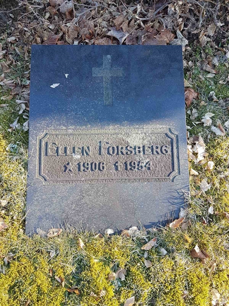 Grave number: RK N 20     2