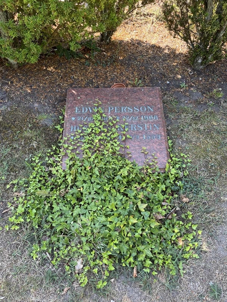 Grave number: NK I:u   234