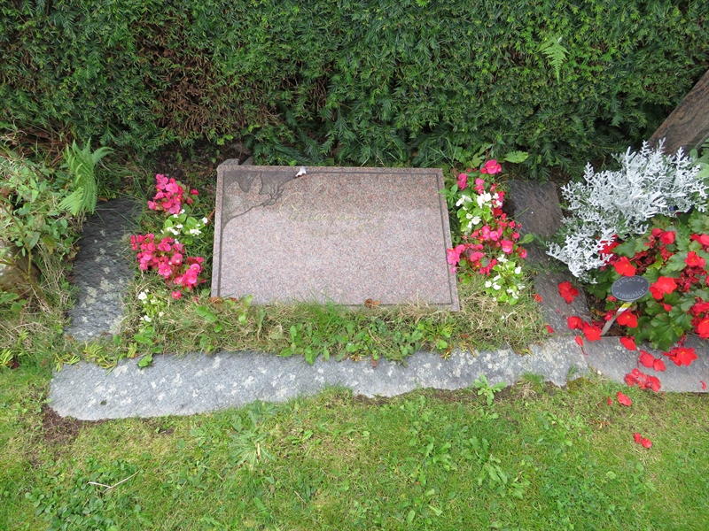 Grave number: 1 07    8