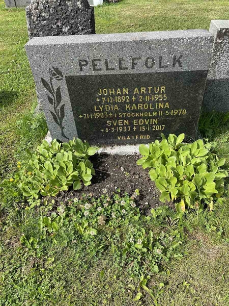 Grave number: N 4 1    37a