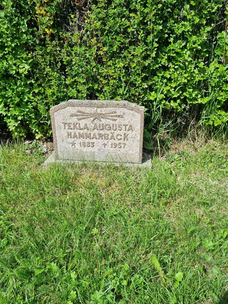 Grave number: 2 03   99
