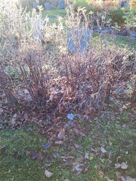 Hautatunnus: GK U 2    95