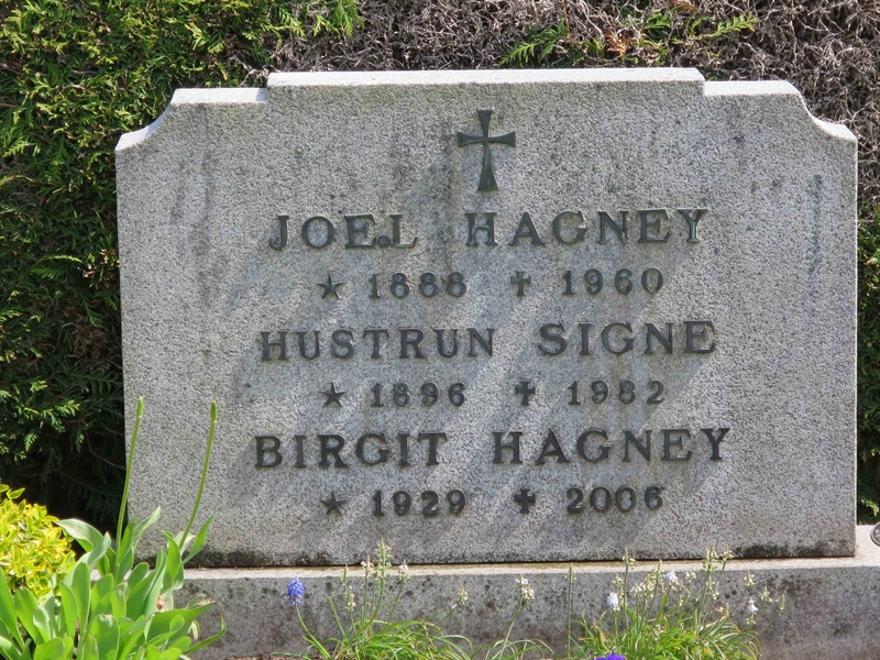 Grave number: HÖB 43    13