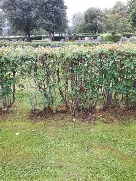 Gravnummer: NK F A   179