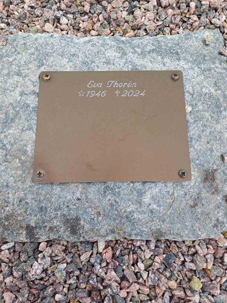 Grave number: SA AGP6   54