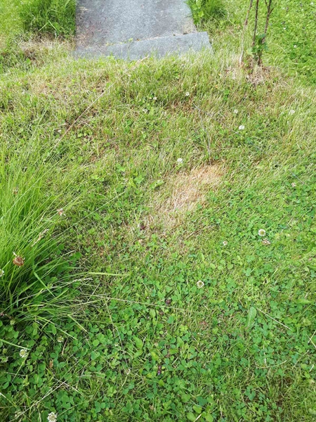 Hautatunnus: GK A 5   251M