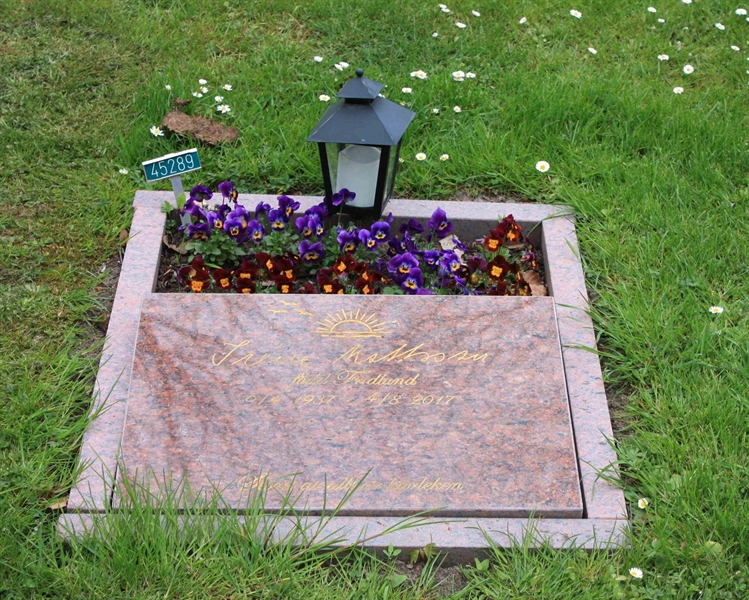 Grave number: Ö 45   289