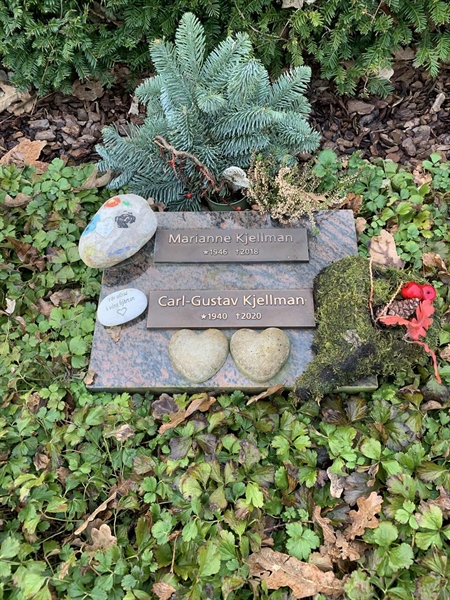 Grave number: ÄNG TALGO     6