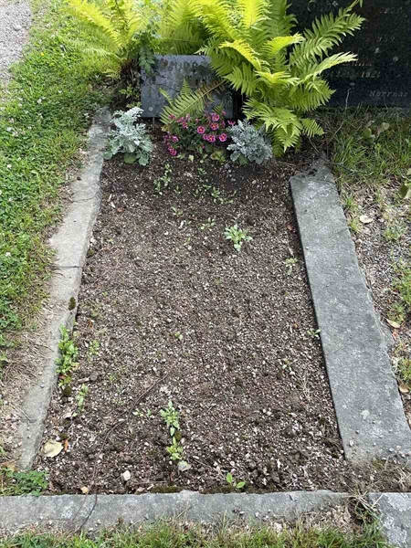 Grave number: N 4 2   279