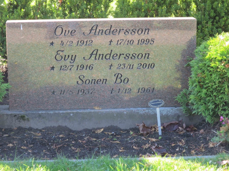 Grave number: HÖB 56    13
