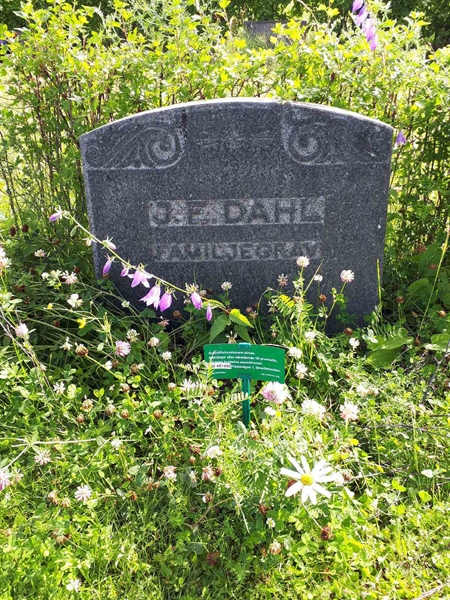 Gravnummer: GK F 5   469