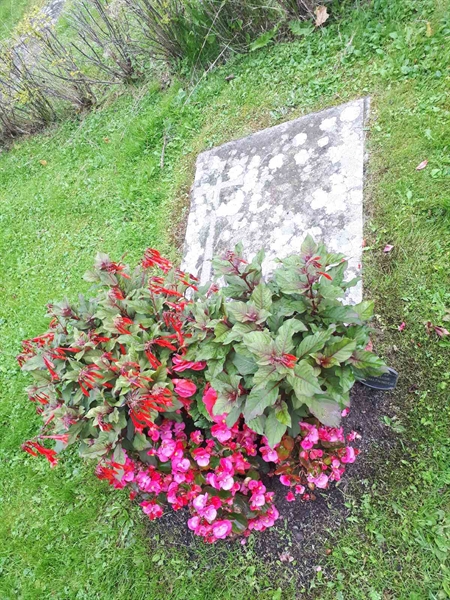 Gravnummer: NK F G    67