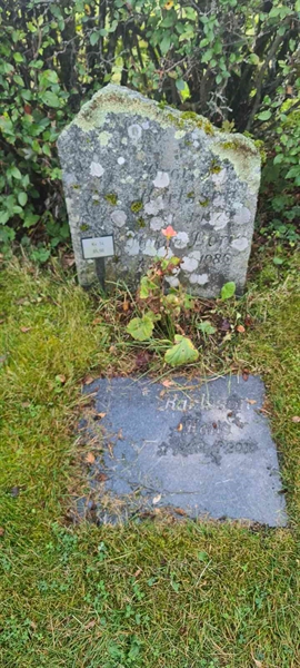 Grave number: M 14   65, 66