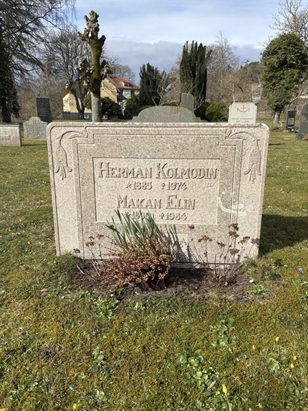Grave number: LI 65
