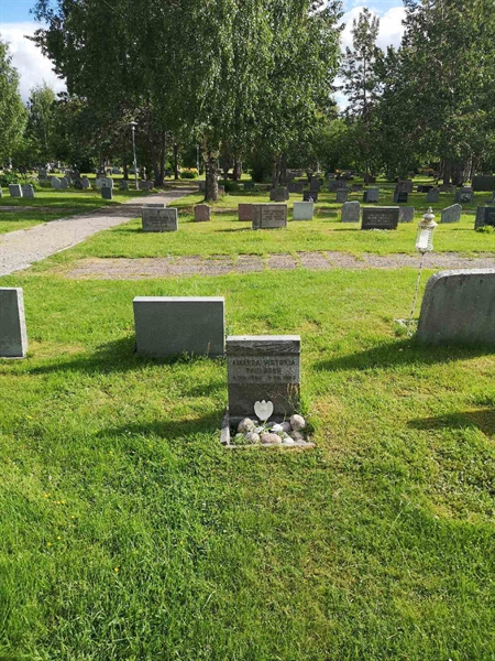 Hautatunnus: NK 06    69