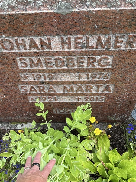 Gravnummer: SÄ NYA   349-350
