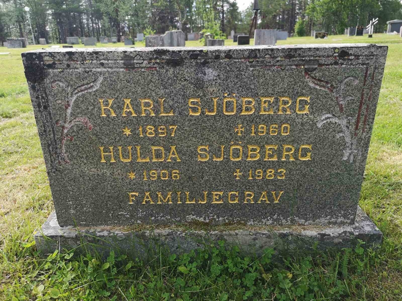 Hautatunnus: PK   204