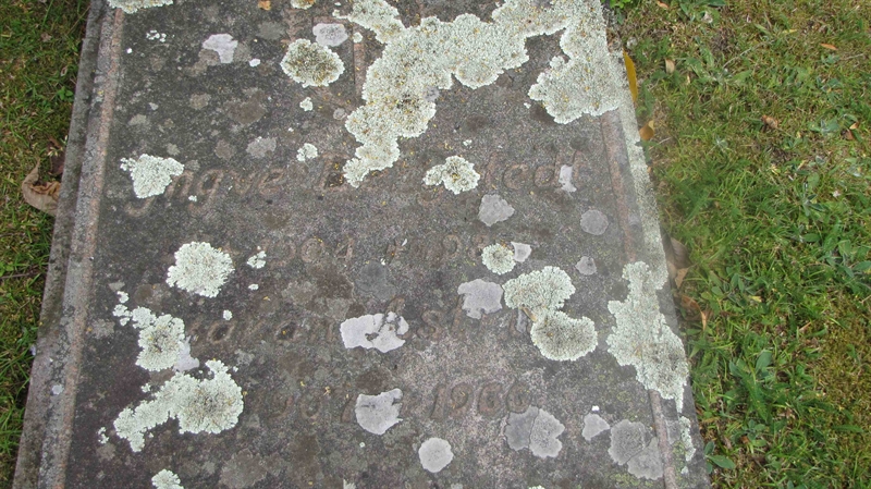 Grave number: FK HÄGG  1491