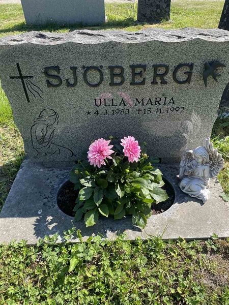 Hautatunnus: N 5 2   201