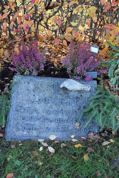 Grave number: A U   33