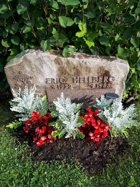 Hautatunnus: NK F C    25-26