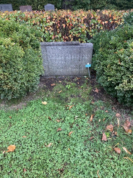 Hautatunnus: 2 N 357