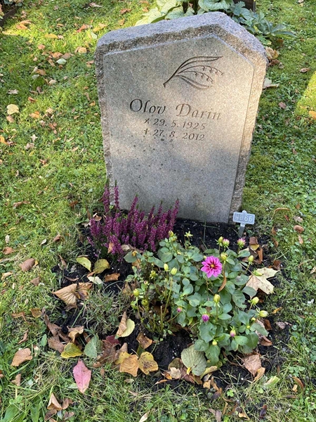 Hautatunnus: 1 H   366