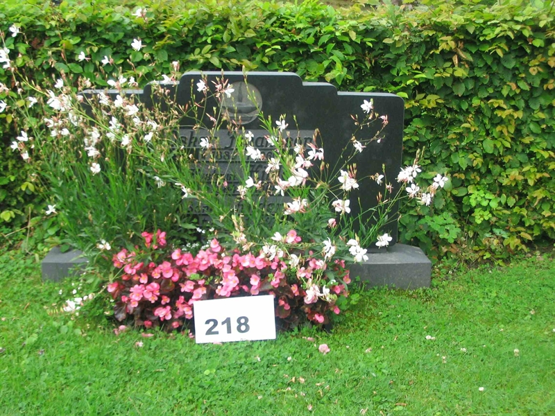 Gravnummer: FK 02    218