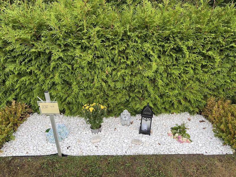 Grave number: NK XIV    49