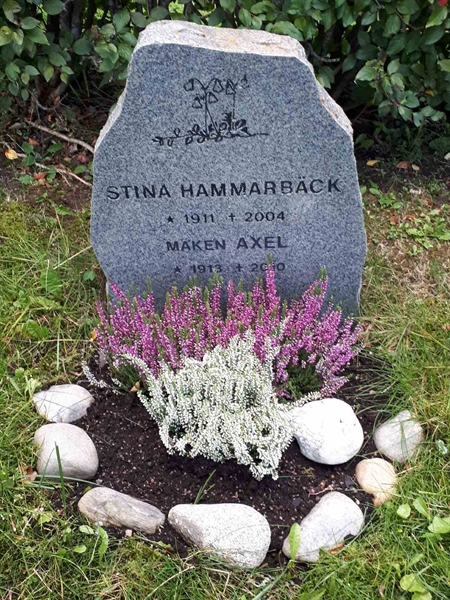 Hautatunnus: NK F D   456