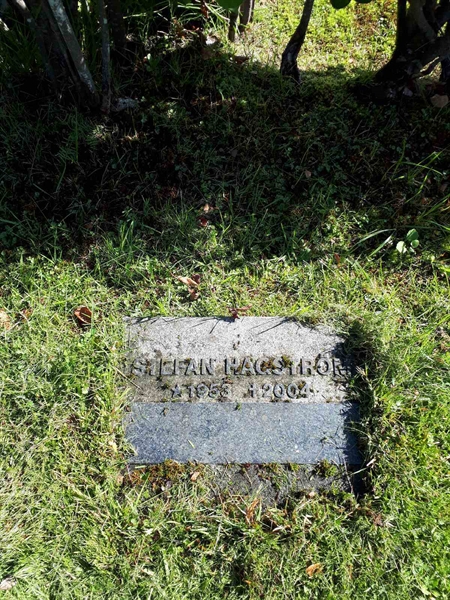 Gravnummer: NK F A    96