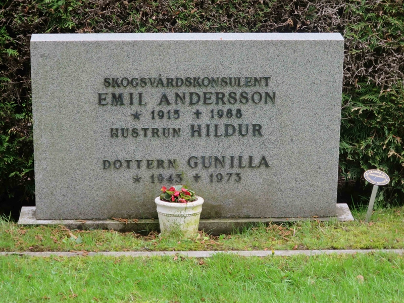 Grave number: HÖB 70C    71