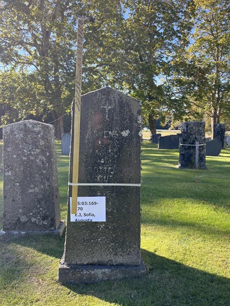 Hautatunnus: 05 03   169-170