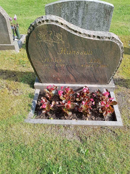 Grave number: 01  4008