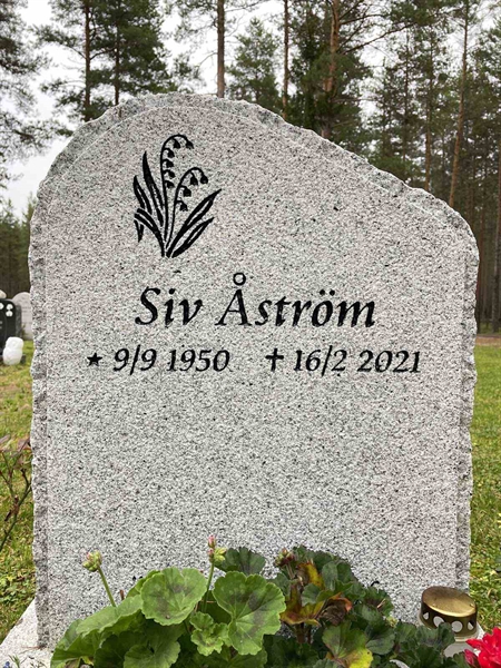 Grave number: 3 8   144