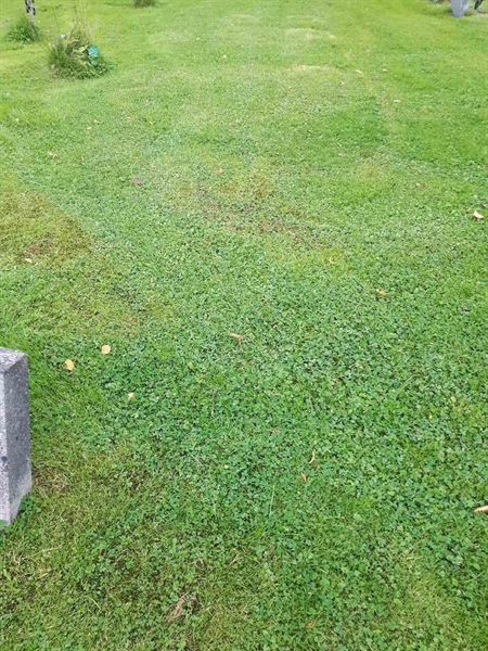 Gravnummer: NK A A     8