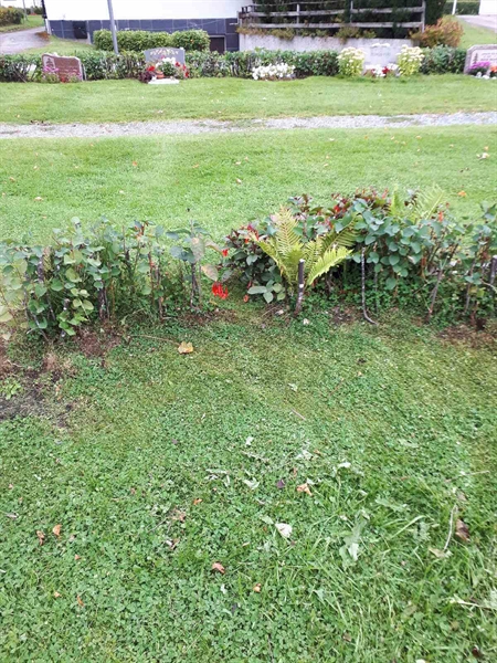 Gravnummer: NK F A    43