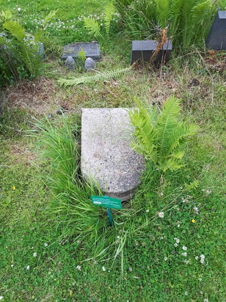 Hautatunnus: GK A 5   214M