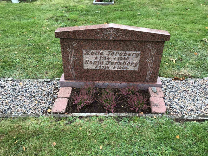 Grave number: 20 N    55-56