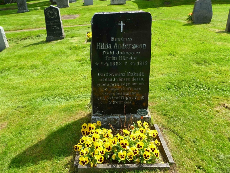 Grave number: ÖGG VI   94