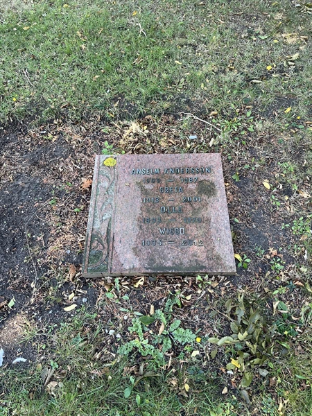 Grave number: NK X:u    46