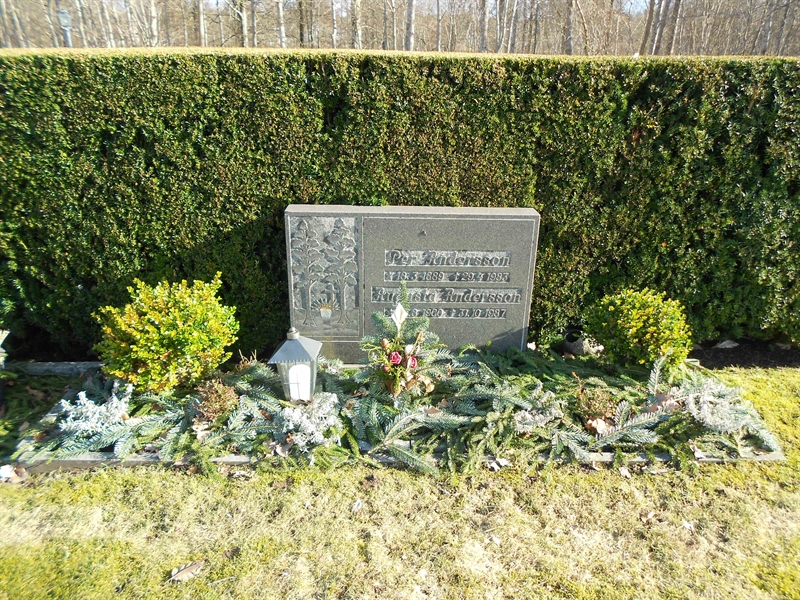 Grave number: NÅ N6    28, 29