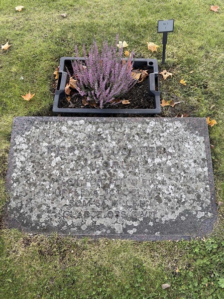 Grave number: H 1     1