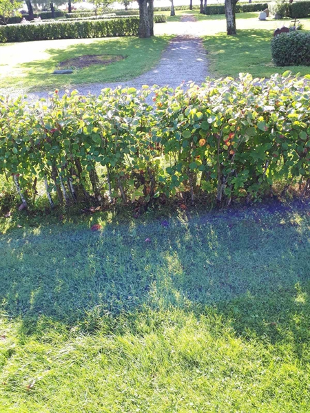 Grave number: NK F B    82